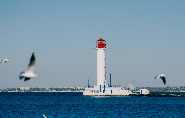 Продам участок 2,9 га под зерновой комплекс с Ж/Д + ПРИЧАЛ в Одессе - <ro>Изображение</ro><ru>Изображение</ru> #1, <ru>Объявление</ru> #1677466