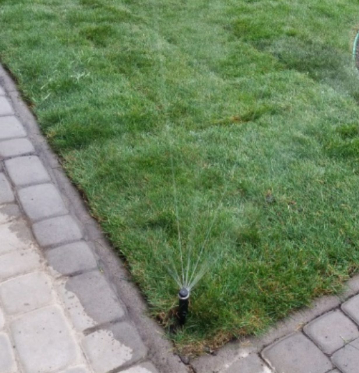 Автоматический полив в Одессе недорого - <ro>Изображение</ro><ru>Изображение</ru> #1, <ru>Объявление</ru> #1690586