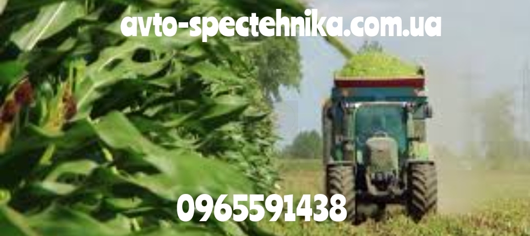 Услуги по уборке силоса,кукурузы на силос,аренда силосоуборочных комбайнов Укр. - <ro>Изображение</ro><ru>Изображение</ru> #1, <ru>Объявление</ru> #1725558