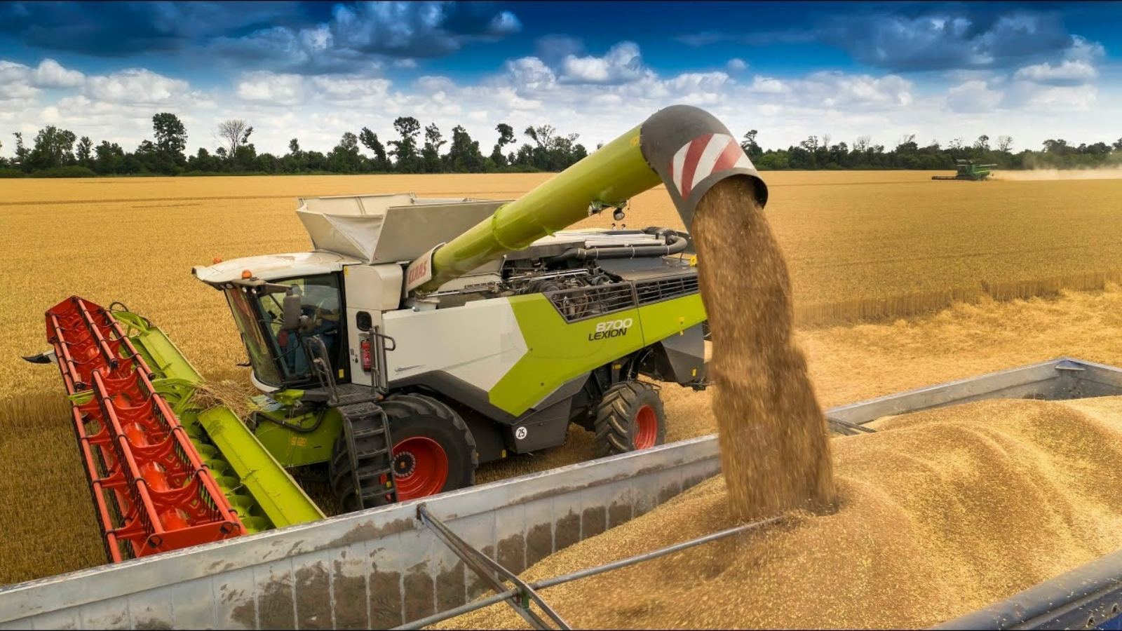 Услуги по уборке урожая комбайнами Одесса, дисковка посев аренда комбайна,трала. - <ro>Изображение</ro><ru>Изображение</ru> #1, <ru>Объявление</ru> #1726636