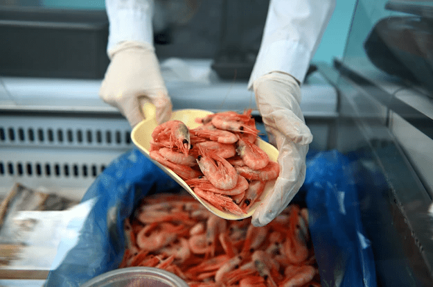 Требуется продавец в магазин морепродукты - <ro>Изображение</ro><ru>Изображение</ru> #1, <ru>Объявление</ru> #1733031