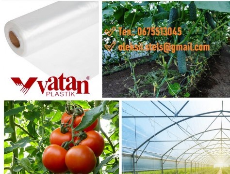 Vatan Plastik Купити тепличну плівку 150 мкм - <ro>Изображение</ro><ru>Изображение</ru> #1, <ru>Объявление</ru> #1733579