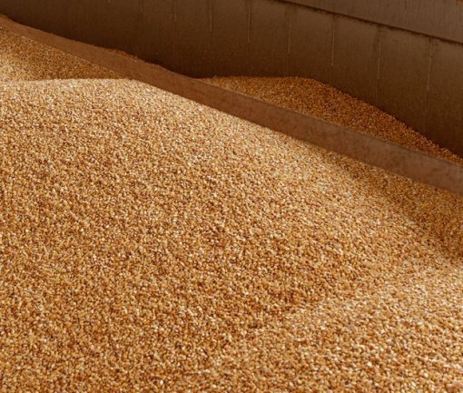 Продам в Одессе элеватор, участок 17 га, силосы - 100.000 тн, мощность 175.000 т - <ro>Изображение</ro><ru>Изображение</ru> #1, <ru>Объявление</ru> #1734181