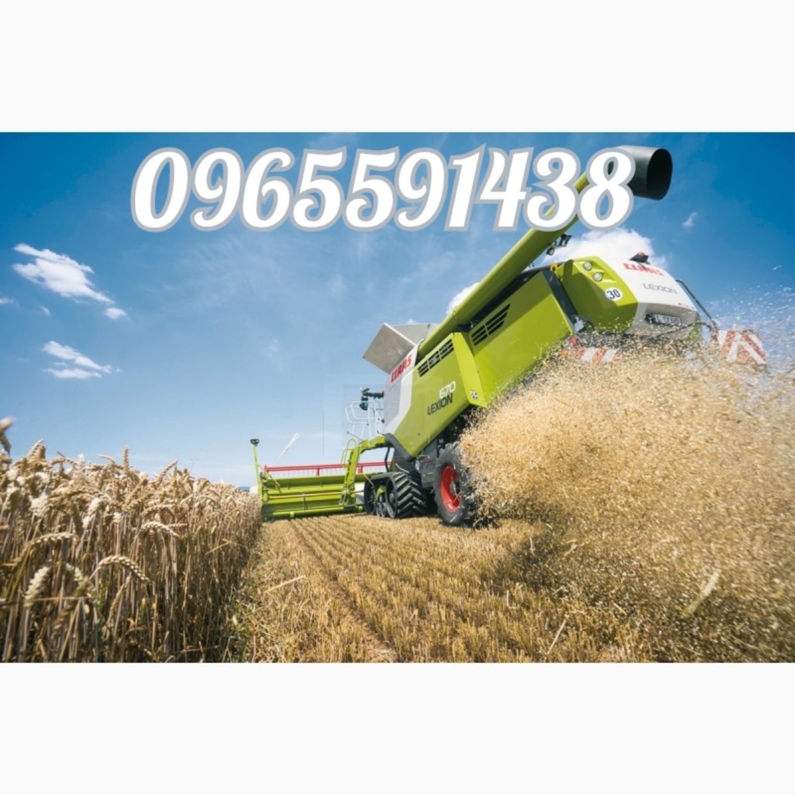 Услуги аренда комбайна,трактора,сеялки,перевозка катка,спецтехники,жатки буровой - <ro>Изображение</ro><ru>Изображение</ru> #1, <ru>Объявление</ru> #1736209