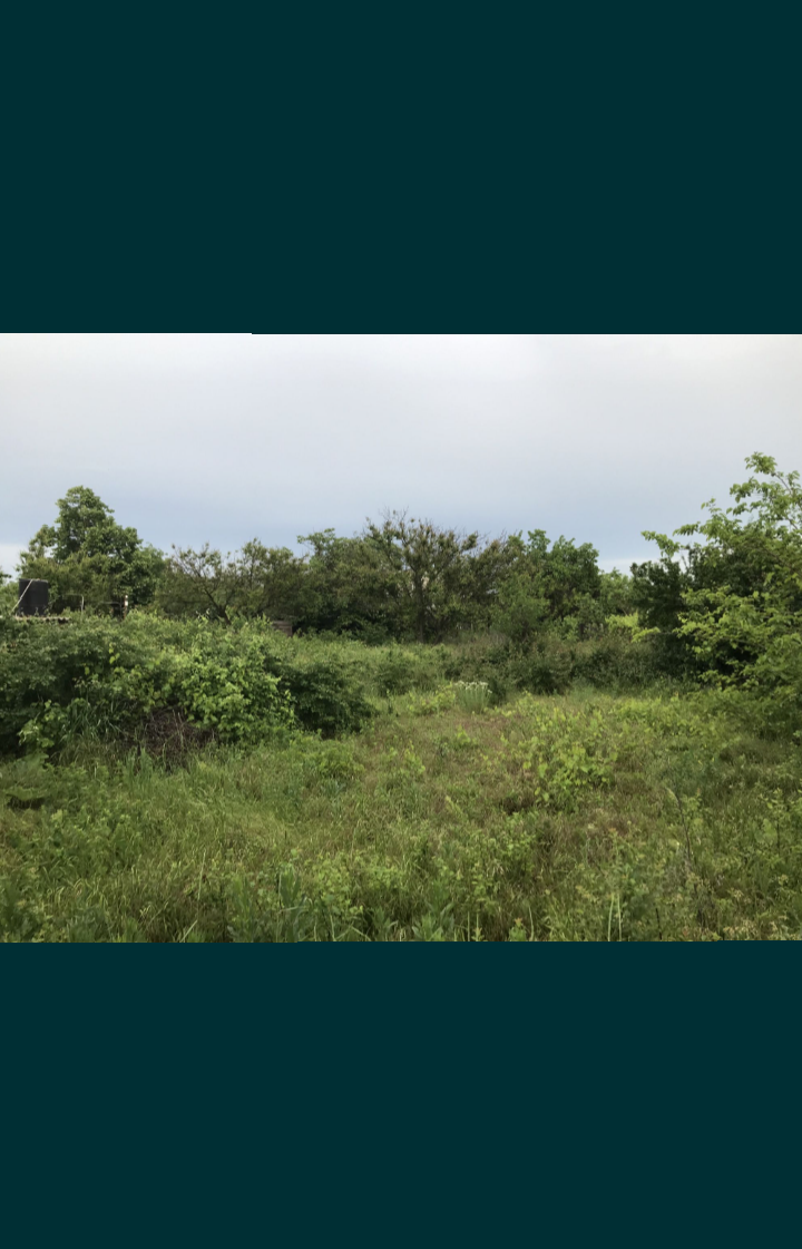 Продам участок 6 соток - <ro>Изображение</ro><ru>Изображение</ru> #1, <ru>Объявление</ru> #1739863