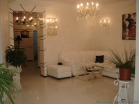 Пентхауз, "Новая Аркадия" - <ro>Изображение</ro><ru>Изображение</ru> #2, <ru>Объявление</ru> #23859