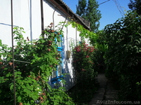 Продам дом, Одесская обл.,г.Килия - <ro>Изображение</ro><ru>Изображение</ru> #2, <ru>Объявление</ru> #44833