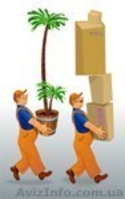 услуги разнорабочих.067 261 96 03 - <ro>Изображение</ro><ru>Изображение</ru> #1, <ru>Объявление</ru> #155576