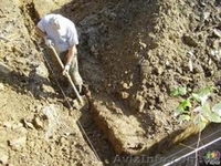 Трудолюбивые  студенты сделают  все  земляные  работы и  погрузят  мусор. - <ro>Изображение</ro><ru>Изображение</ru> #1, <ru>Объявление</ru> #662220