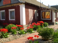 продам дом у моря с большим участком - <ro>Изображение</ro><ru>Изображение</ru> #2, <ru>Объявление</ru> #483966