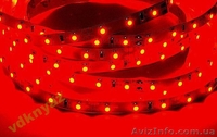 Светодиодная лента, белый свет 5 метров 300 LED - <ro>Изображение</ro><ru>Изображение</ru> #4, <ru>Объявление</ru> #785502
