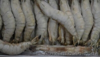 Морепродукты, креветки глубокой заморозки - <ro>Изображение</ro><ru>Изображение</ru> #2, <ru>Объявление</ru> #878834
