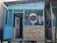 Сдам курень  на берегу моря в Одессе - <ro>Изображение</ro><ru>Изображение</ru> #2, <ru>Объявление</ru> #903246