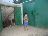 Срочно продам дом в Шабо с удобствами - <ro>Изображение</ro><ru>Изображение</ru> #4, <ru>Объявление</ru> #911955