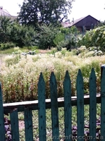 Продам дом на 9 сотках земли на ул. Костанди - <ro>Изображение</ro><ru>Изображение</ru> #3, <ru>Объявление</ru> #937612