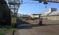 сдам открытую площадку оборудованную краном - <ro>Изображение</ro><ru>Изображение</ru> #1, <ru>Объявление</ru> #1098247