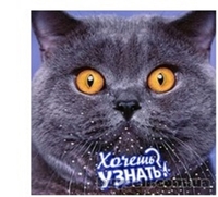 Кинопроектор - антиквар.  - <ro>Изображение</ro><ru>Изображение</ru> #6, <ru>Объявление</ru> #1663514