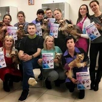 Школа груминга, обучение стрижкам животных. Одесса - <ro>Изображение</ro><ru>Изображение</ru> #1, <ru>Объявление</ru> #1665116