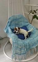 Щенки Джек Рассел Терьер Одесса,(Jack Russell Terrier puppies Odessa) - <ro>Изображение</ro><ru>Изображение</ru> #1, <ru>Объявление</ru> #1741681