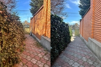 Уборка заброшек, расчистка участков быстро аккуратно - <ro>Изображение</ro><ru>Изображение</ru> #3, <ru>Объявление</ru> #1750698