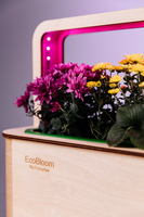EcoBloom Smart Garden Розумний сад вдома - <ro>Изображение</ro><ru>Изображение</ru> #4, <ru>Объявление</ru> #1751028