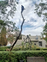  Спил дерева, покос травы , расчистка участков вывоз мусора - <ro>Изображение</ro><ru>Изображение</ru> #1, <ru>Объявление</ru> #1628871