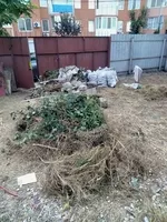 Уборка,планировка участка,спил дерева, демонтажные работы,вывоз мусора  - <ro>Изображение</ro><ru>Изображение</ru> #4, <ru>Объявление</ru> #1687125