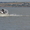 катер прогулочный с каютой для рыбалки и отдыха - <ro>Изображение</ro><ru>Изображение</ru> #3, <ru>Объявление</ru> #61878