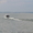катер прогулочный с каютой для рыбалки и отдыха - <ro>Изображение</ro><ru>Изображение</ru> #5, <ru>Объявление</ru> #61878