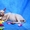 Котята Канадского сфинкса!!! - <ro>Изображение</ro><ru>Изображение</ru> #1, <ru>Объявление</ru> #65559