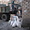 Вывоз мусора в мешках и россыпью - <ro>Изображение</ro><ru>Изображение</ru> #2, <ru>Объявление</ru> #117438