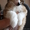 Китайская хохлатая собака.Голые щенки 2,5мес.КСУ - <ro>Изображение</ro><ru>Изображение</ru> #9, <ru>Объявление</ru> #213613