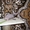 Котята канадского сфинксов - <ro>Изображение</ro><ru>Изображение</ru> #2, <ru>Объявление</ru> #260332