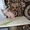 Котята канадского сфинксов - <ro>Изображение</ro><ru>Изображение</ru> #6, <ru>Объявление</ru> #260332