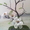 Цветы, букеты, композиции, деревья из бисера.Ручная работа - <ro>Изображение</ro><ru>Изображение</ru> #3, <ru>Объявление</ru> #323526