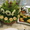 Карвинг- фрукты и овощи - <ro>Изображение</ro><ru>Изображение</ru> #5, <ru>Объявление</ru> #380996