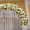 Арт Студия VESNA свадебные арки, шатры, беседки   - <ro>Изображение</ro><ru>Изображение</ru> #3, <ru>Объявление</ru> #508663
