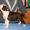 Элитные щенки американского стаффордширского терьера - <ro>Изображение</ro><ru>Изображение</ru> #1, <ru>Объявление</ru> #186689