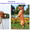 Элитные щенки американского стаффордширского терьера - <ro>Изображение</ro><ru>Изображение</ru> #6, <ru>Объявление</ru> #186689