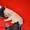 Элитные щеночки чихуахуа шоу-класса! - <ro>Изображение</ro><ru>Изображение</ru> #2, <ru>Объявление</ru> #559386