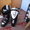Лыжные ботинки LOWA - <ro>Изображение</ro><ru>Изображение</ru> #4, <ru>Объявление</ru> #585011