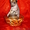 Китайская хохлатая собачка. Щенки - <ro>Изображение</ro><ru>Изображение</ru> #1, <ru>Объявление</ru> #569734