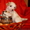 Китайская хохлатая собачка. Щенки - <ro>Изображение</ro><ru>Изображение</ru> #2, <ru>Объявление</ru> #569734