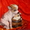 Китайская хохлатая собачка. Щенки - <ro>Изображение</ro><ru>Изображение</ru> #5, <ru>Объявление</ru> #569734
