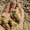 Вознесенский песок со склада в Одессе - <ro>Изображение</ro><ru>Изображение</ru> #1, <ru>Объявление</ru> #661447