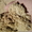 Вознесенский песок со склада в Одессе - <ro>Изображение</ro><ru>Изображение</ru> #3, <ru>Объявление</ru> #661447