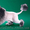 Стрижка кошек и собак (Не дорого) - <ro>Изображение</ro><ru>Изображение</ru> #1, <ru>Объявление</ru> #662124