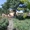 Дом с видом на Хаджибейский лиман - <ro>Изображение</ro><ru>Изображение</ru> #3, <ru>Объявление</ru> #706918