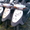 Японские б/у мопеды, скутера. - <ro>Изображение</ro><ru>Изображение</ru> #4, <ru>Объявление</ru> #789091