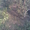 Дача, с. Христиновка, Киевское шоссе, рядом Хаджибеевский лиман - <ro>Изображение</ro><ru>Изображение</ru> #1, <ru>Объявление</ru> #862499